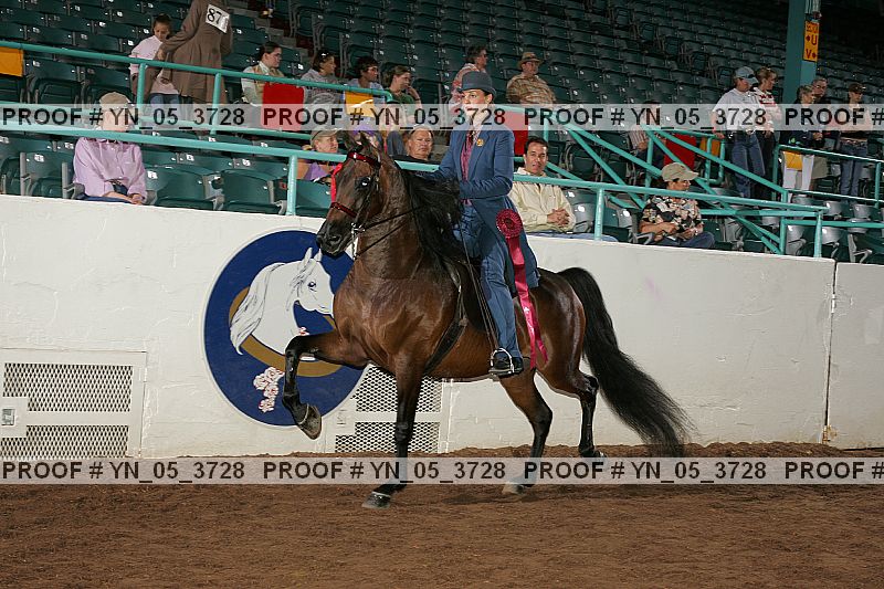 Proof Number yn_05_3728