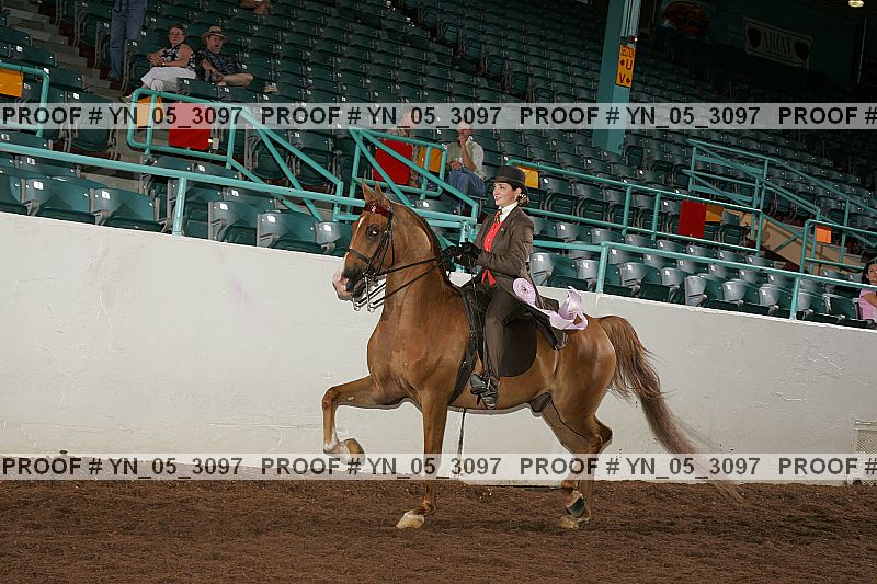 Proof Number yn_05_3097