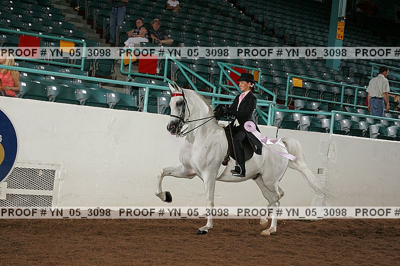 Proof Number yn_05_3098