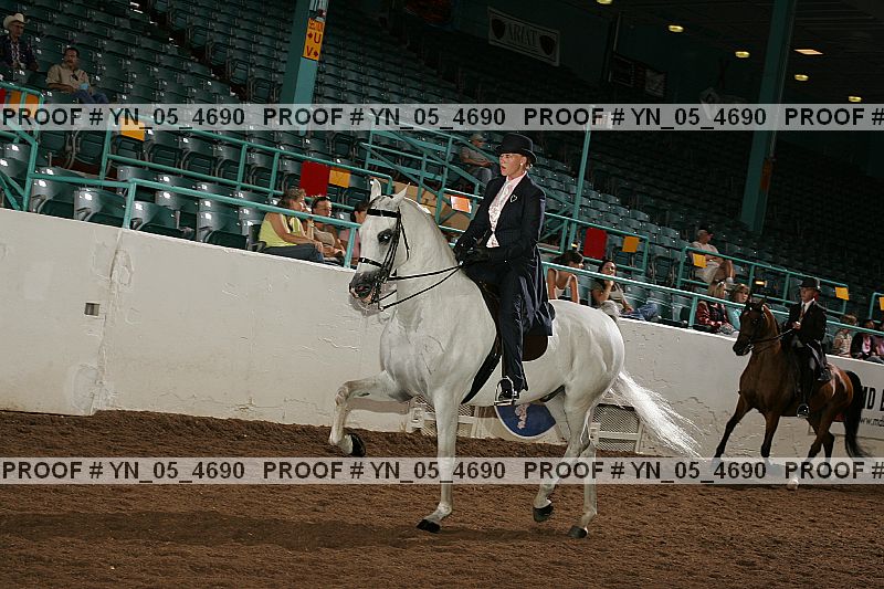 Proof Number yn_05_4690