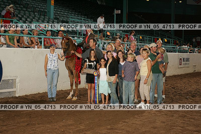 Proof Number yn_05_4713