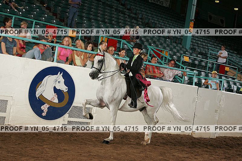 Proof Number yn_05_4715