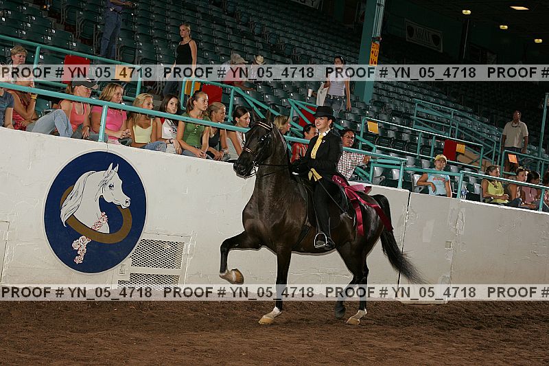Proof Number yn_05_4718