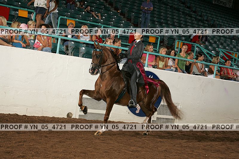 Proof Number yn_05_4721