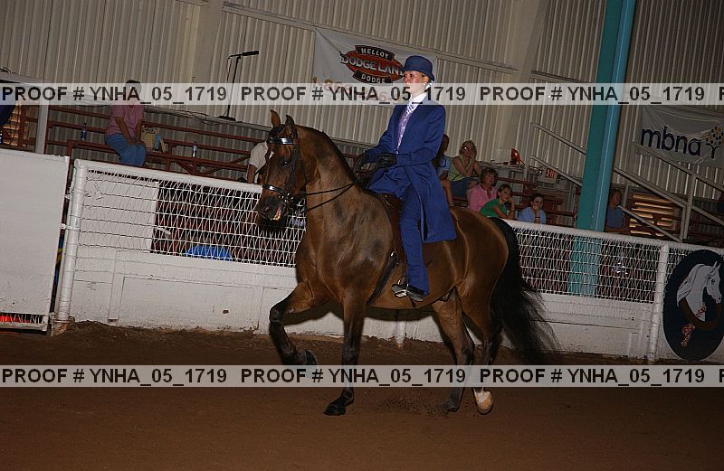 Proof Number ynha_05_1719