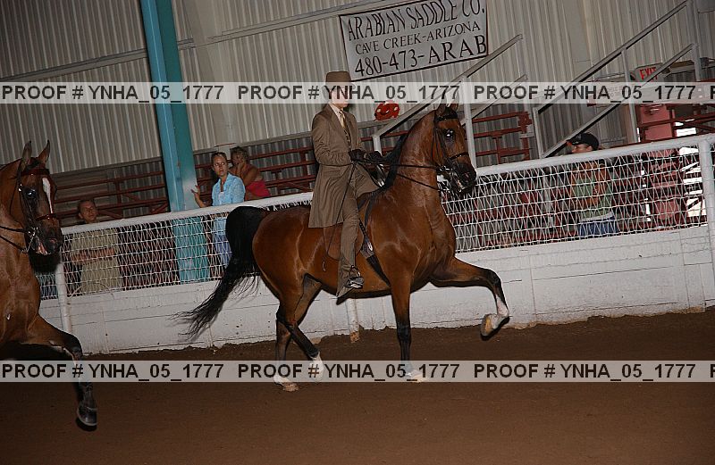 Proof Number ynha_05_1777
