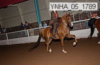 Proof Number ynha_05_1789