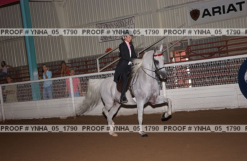 Proof Number ynha_05_1790
