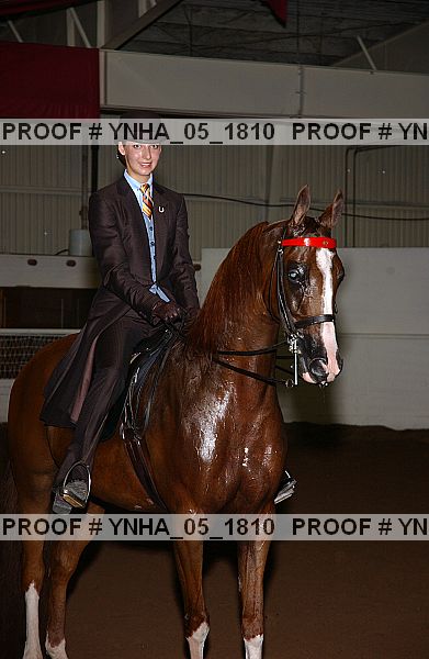 Proof Number ynha_05_1810