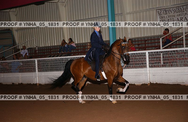 Proof Number ynha_05_1831