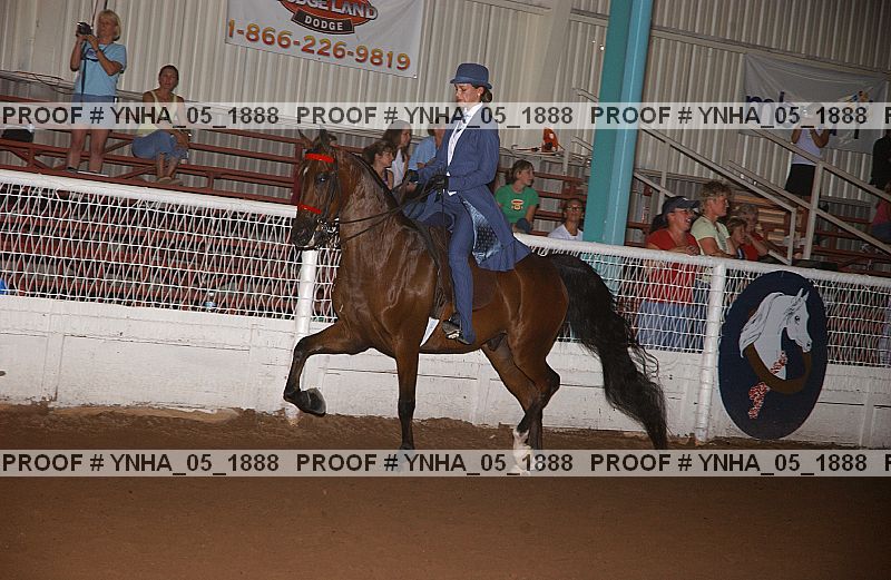 Proof Number ynha_05_1888