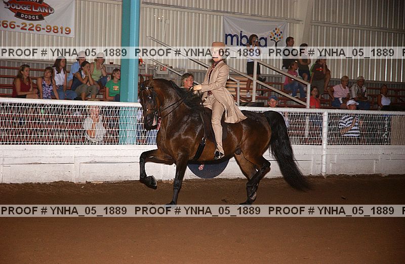Proof Number ynha_05_1889