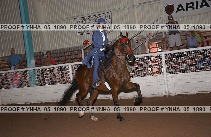 Proof Number ynha_05_1890