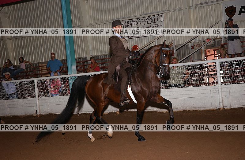 Proof Number ynha_05_1891