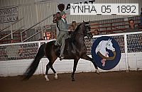 Proof Number ynha_05_1892
