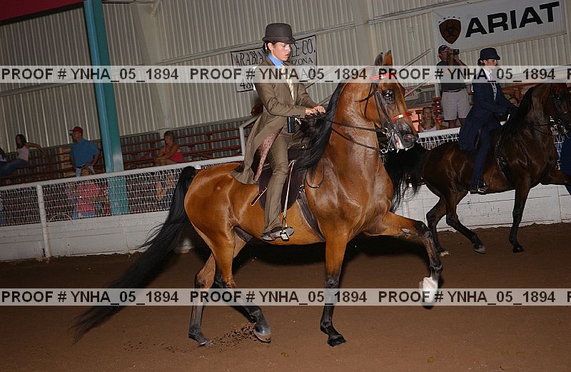 Proof Number ynha_05_1894