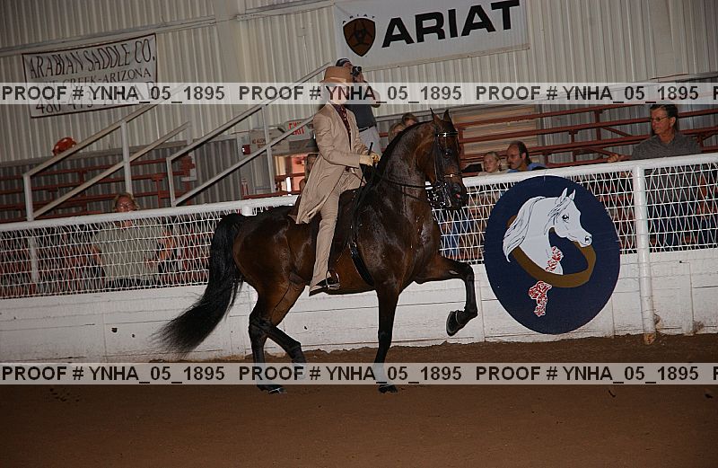 Proof Number ynha_05_1895