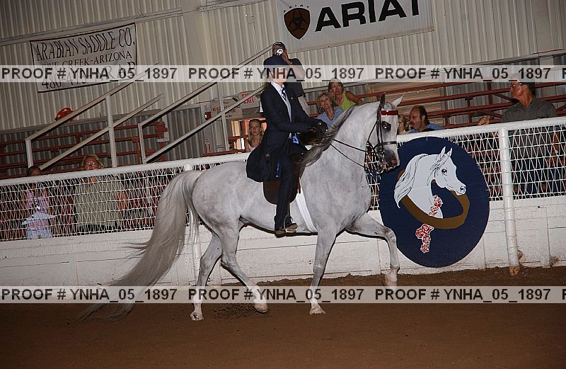 Proof Number ynha_05_1897