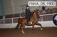 Proof Number ynha_05_1900