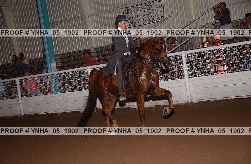 Proof Number ynha_05_1902