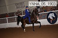 Proof Number ynha_05_1903