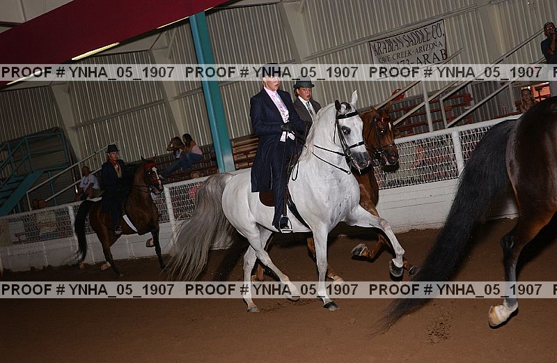 Proof Number ynha_05_1907