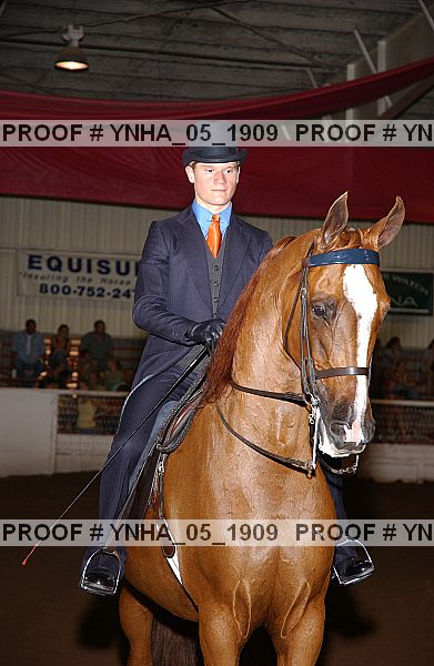 Proof Number ynha_05_1909