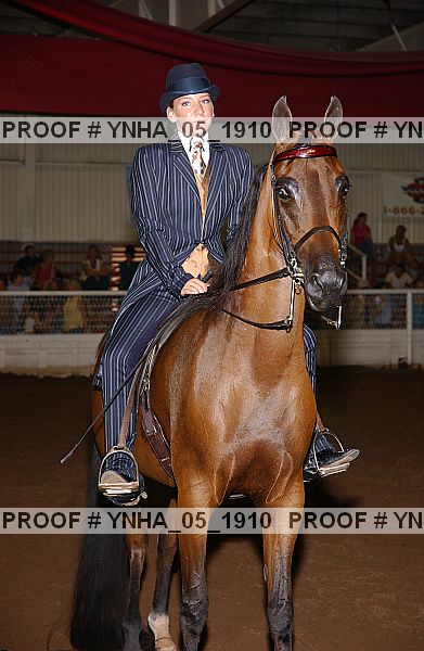 Proof Number ynha_05_1910