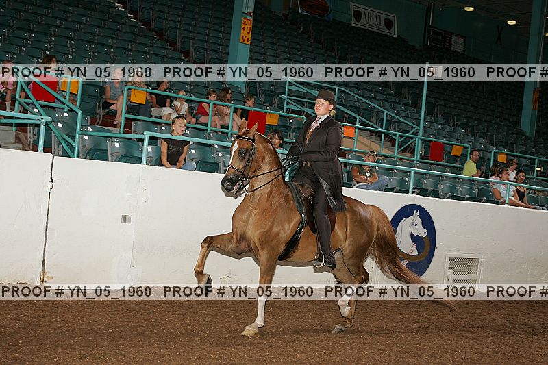 Proof Number yn_05_1960