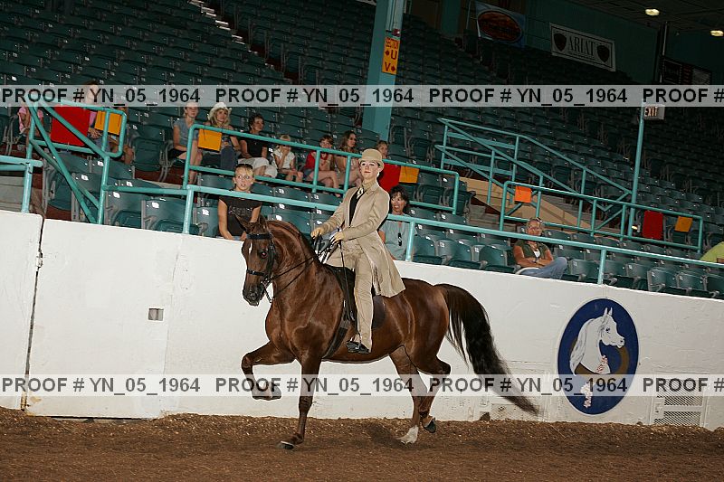 Proof Number yn_05_1964