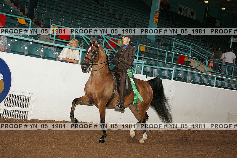 Proof Number yn_05_1981