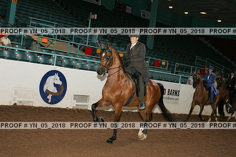 Proof Number yn_05_2018
