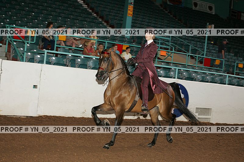 Proof Number yn_05_2021