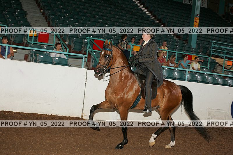 Proof Number yn_05_2022