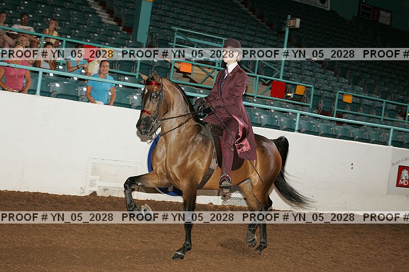 Proof Number yn_05_2028