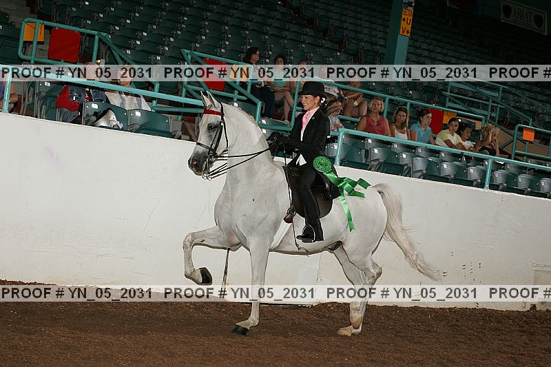 Proof Number yn_05_2031