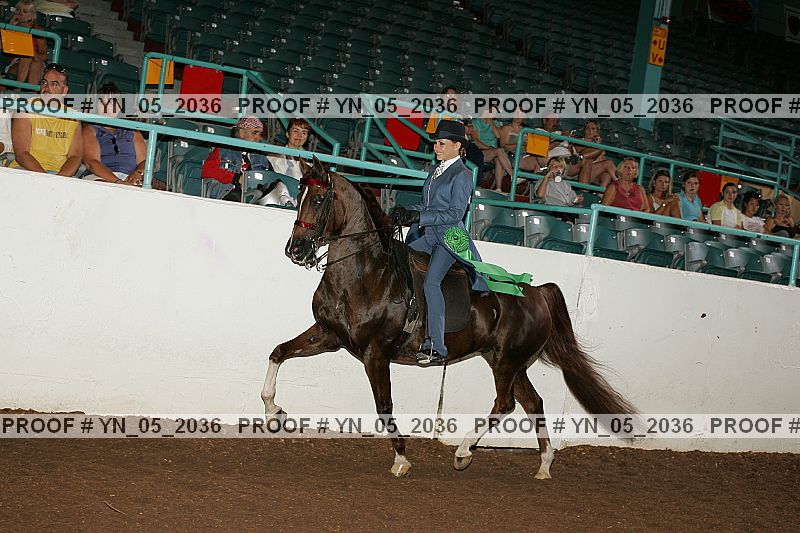Proof Number yn_05_2036