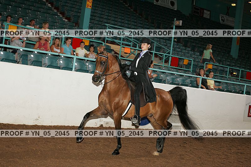 Proof Number yn_05_2045