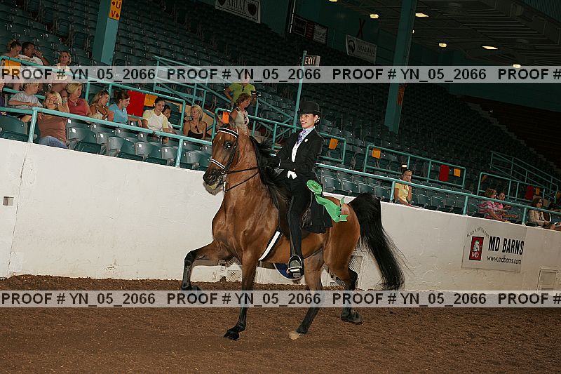 Proof Number yn_05_2066