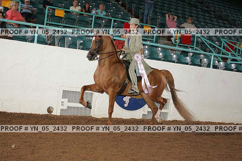 Proof Number yn_05_2432