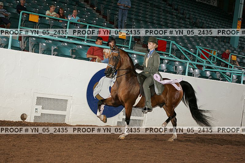 Proof Number yn_05_2435