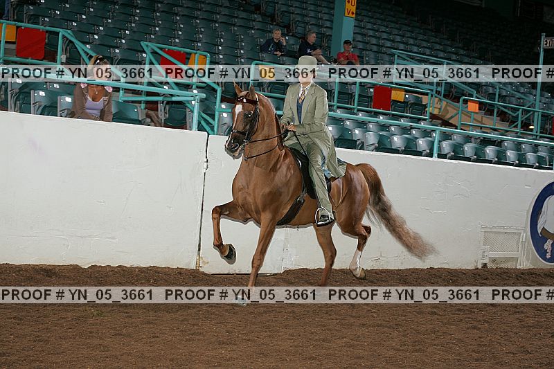 Proof Number yn_05_3661