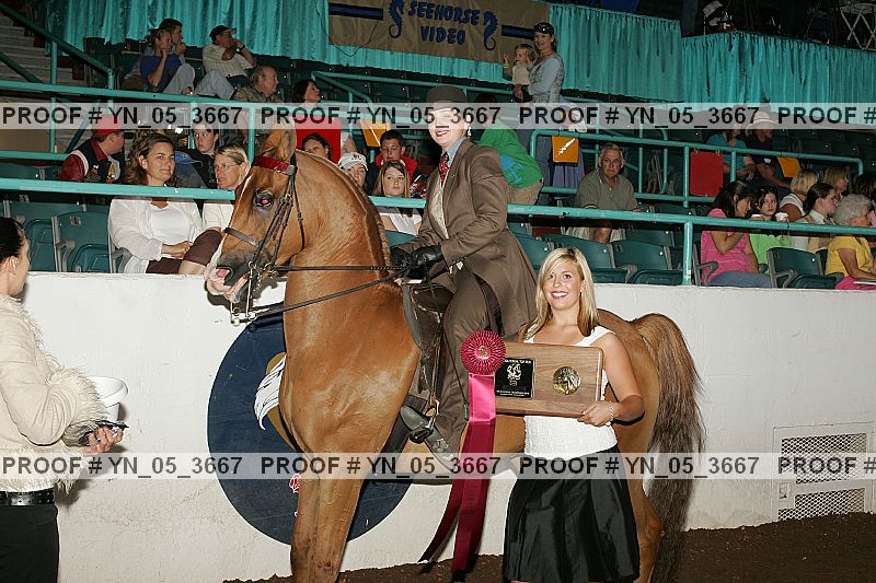 Proof Number yn_05_3667