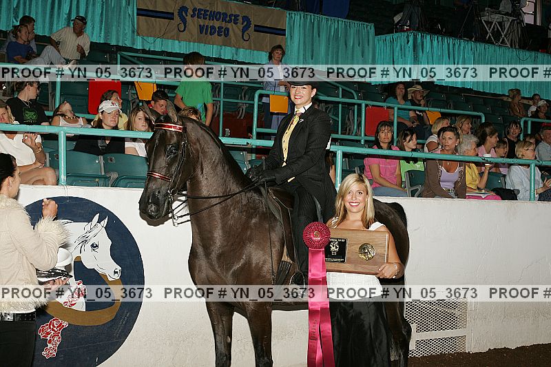 Proof Number yn_05_3673