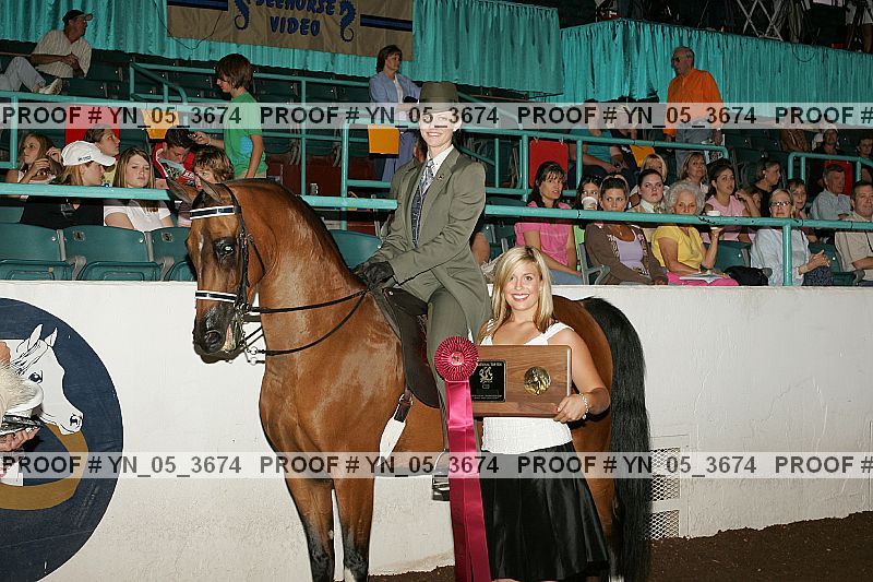 Proof Number yn_05_3674