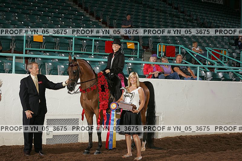 Proof Number yn_05_3675
