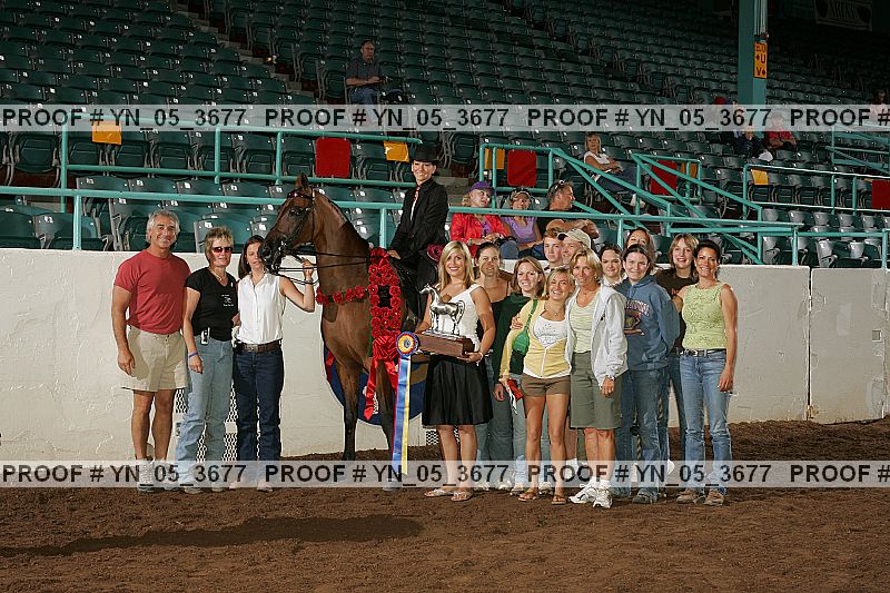 Proof Number yn_05_3677