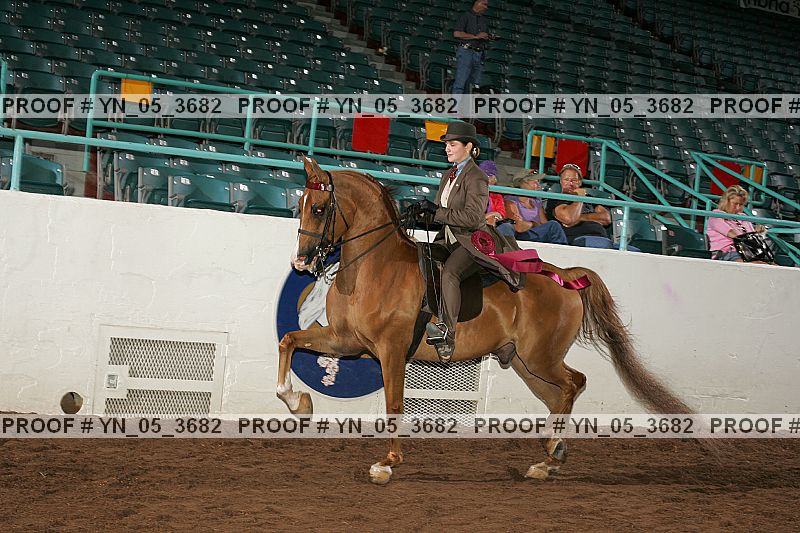 Proof Number yn_05_3682
