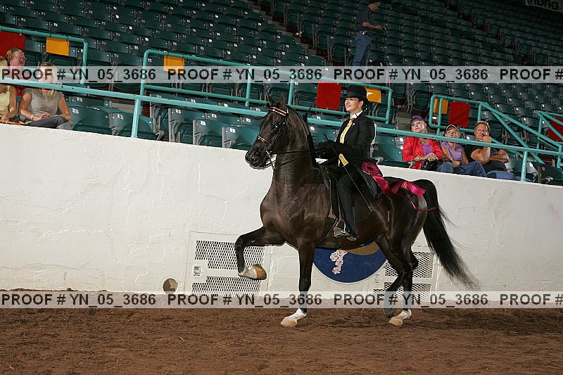 Proof Number yn_05_3686