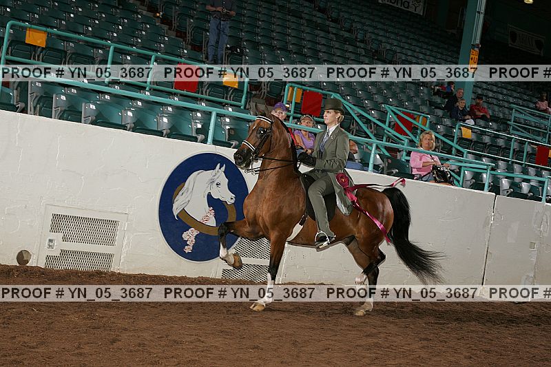 Proof Number yn_05_3687